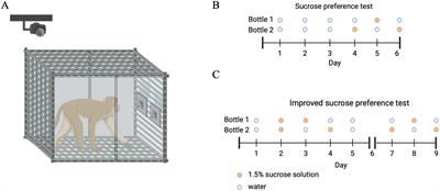 Decreased consumption of natural rewards in rhesus monkeys with prolonged methamphetamine abstinence